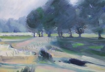 Landscapes 1