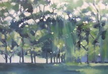 Landscapes 4